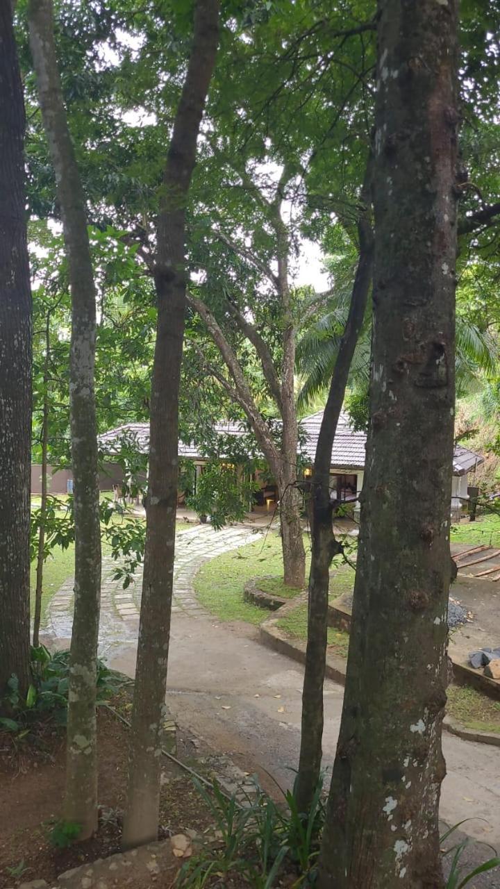 Villa D55 Kandy Buitenkant foto