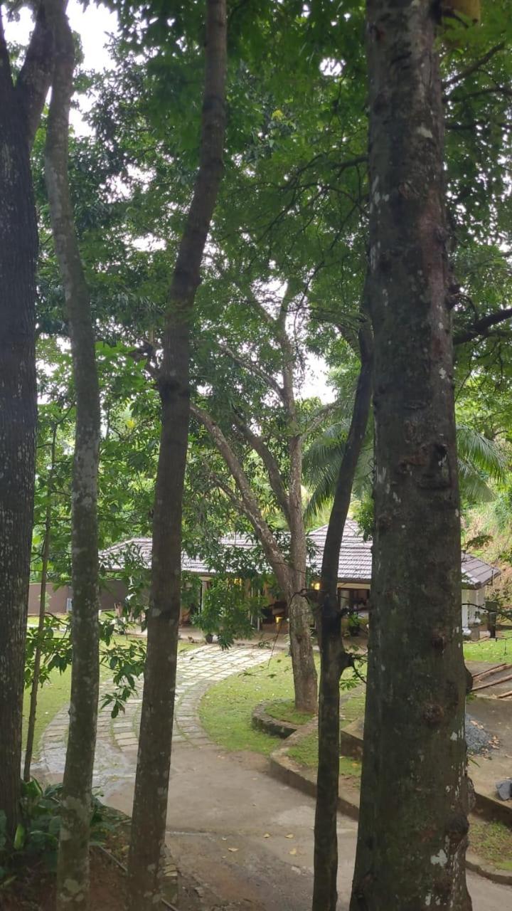 Villa D55 Kandy Buitenkant foto