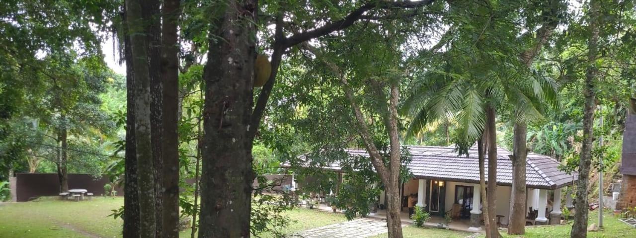 Villa D55 Kandy Buitenkant foto